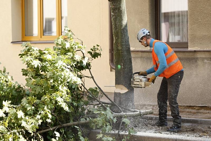 Kácení stromů v pardubické ulici V Ráji.