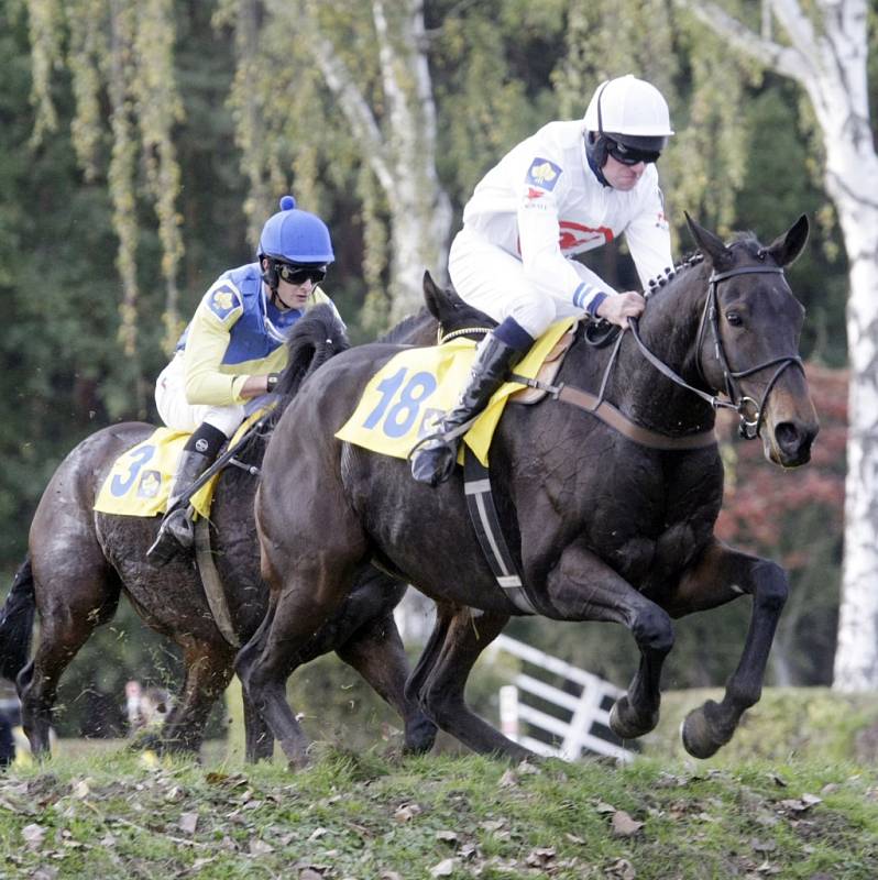 122. Velká pardubická s Českou pojišťovnou