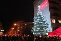 Strom přání se ve středu 6. prosince rozzáří u Univerzity Pardubice.