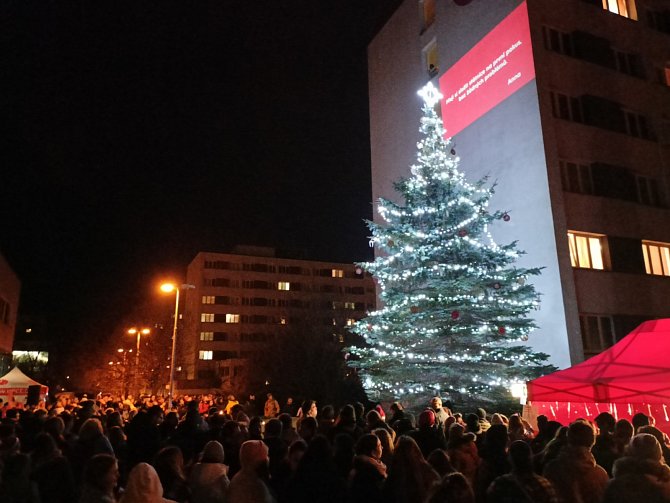 Strom přání se ve středu 6. prosince rozzáří u Univerzity Pardubice.