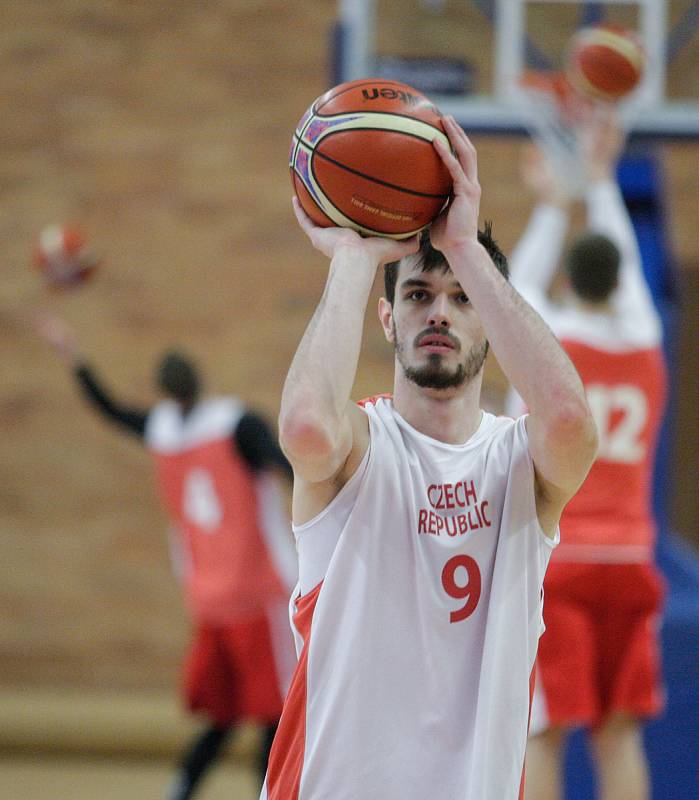 Trénink České basketbalové reprezentace na MS basketbalistů 2019 ve Sportovním centru Nymburk.