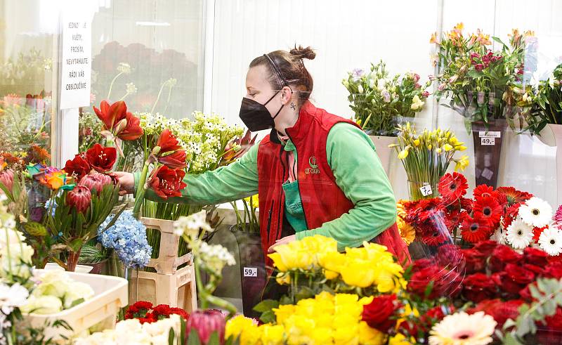 8. března slavíme Mezinárodní den žen. Na MDŽ většina mužů upřednostňuje darovat ženám květinu oproti bonboniérám nebo večeři.