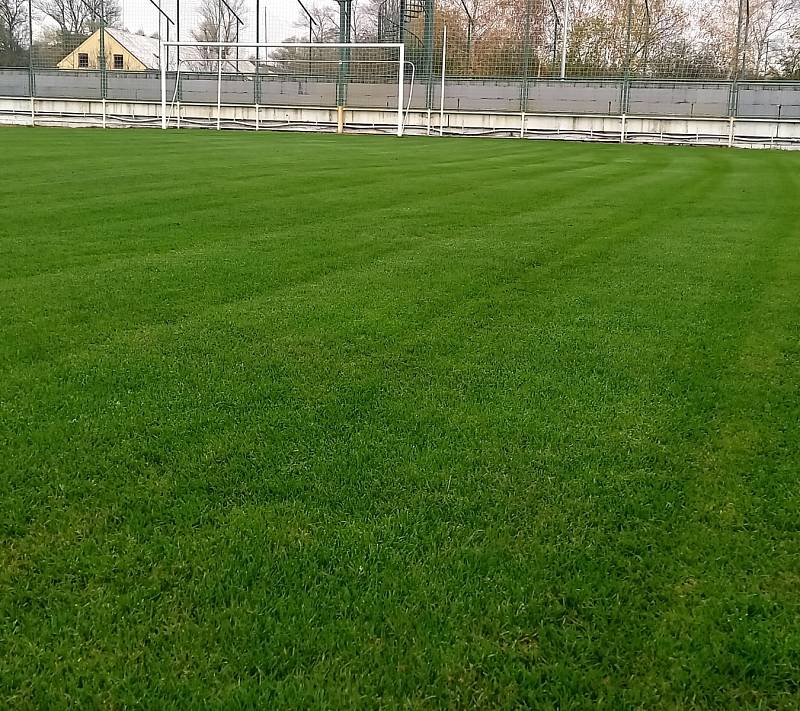 Není tráva jako tráva... Před deseti lety nebylo v bohdanečském areálu přes vzrostlý plevel pomalu vidět ani bránu. Parta tamních nadšenců se rozhodla, že fotbal, který vznikal v lázeňském městě kolem roku 1918, nenechá zašlapat do země.