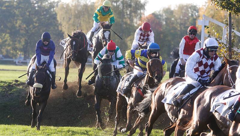 Vítězem 129. Velké pardubické se Slavia pojišťovnou na pardubickém dostihovém závodišti se stal Theophilos s Josefem Bartošem.