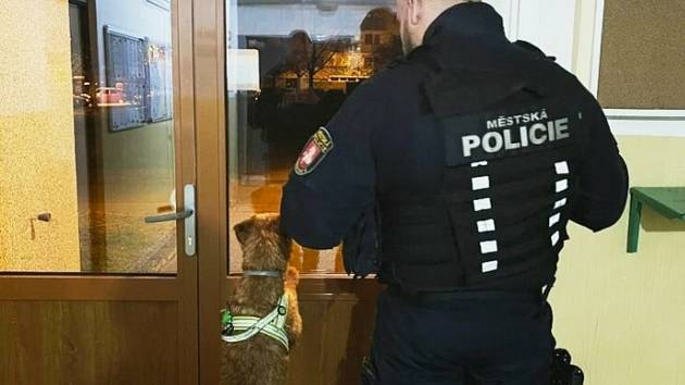 Strážníci Městské policie Pardubice v sobotu nalezli pět psích tuláků. Všechny se jim podařilo vrátit majitelům.