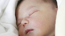 Lucie Javůrková se narodila 29. ledna v 0:24 hodin. Měřila 51 centimetrů a vážila 3690 gramů. Maminku Marcelu u porodu podpořil tatínek Karel a doma v Cholticích čeká ještě tříletý Lukášek. 