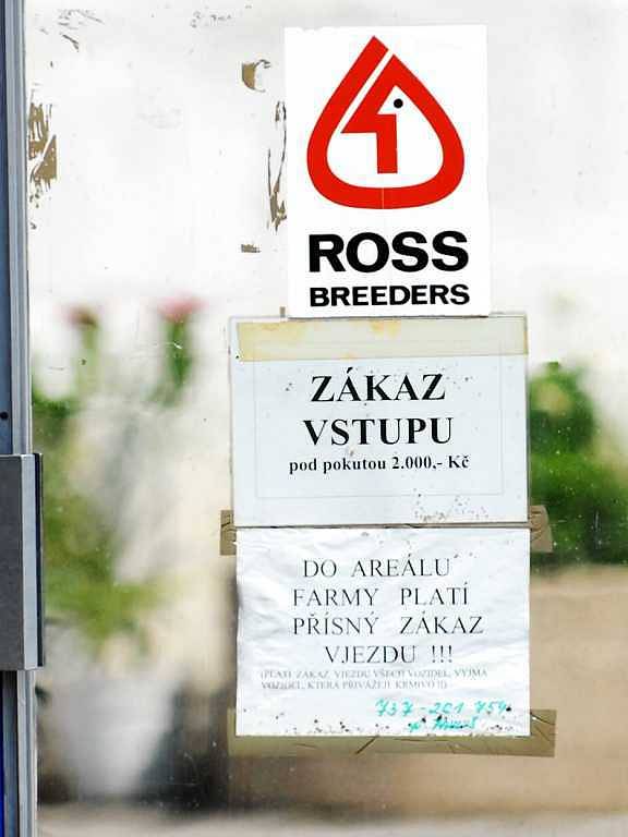 Farma s chovem masných slepic v Kosoříně
