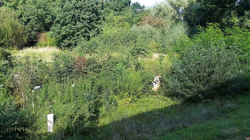 Dobrovolníci uklidili přírodu v centru města Pardubic. Uklízelo se nedaleko hlavního pardubického nádraží za nákupní zónou. Za necelé dvě hodiny se podařilo sebrat 161 kilogramů odpadu.