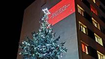 Univerzita opět rozsvítí vánoční Strom přání, pomáhá také charitativními akcemi.