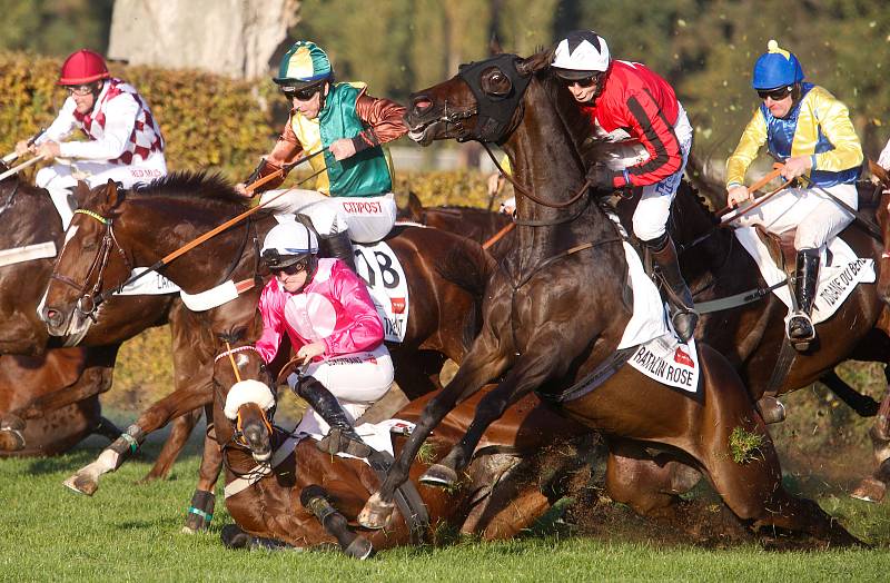 Vítězem 129. Velké pardubické se Slavia pojišťovnou na pardubickém dostihovém závodišti se stal Theophilos s Josefem Bartošem.