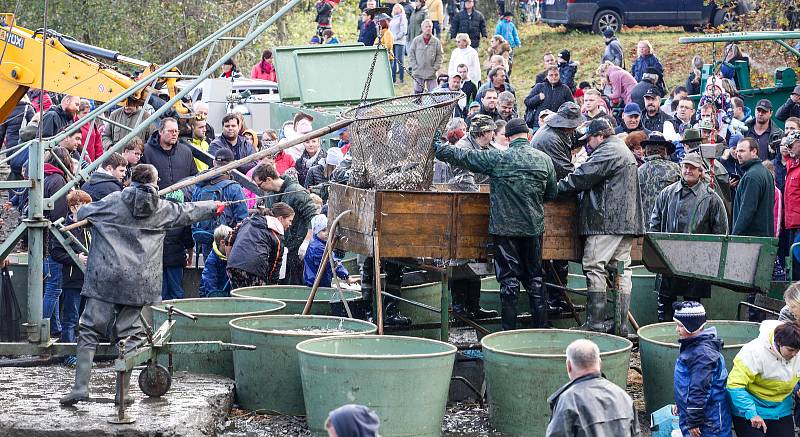 Tradiční výlov v Národní přírodní rezervaci Bohdanečský rybník a rybník Matka. Na hrázi mohli příchozí ochutnat rybí speciality z grilu a udírny.