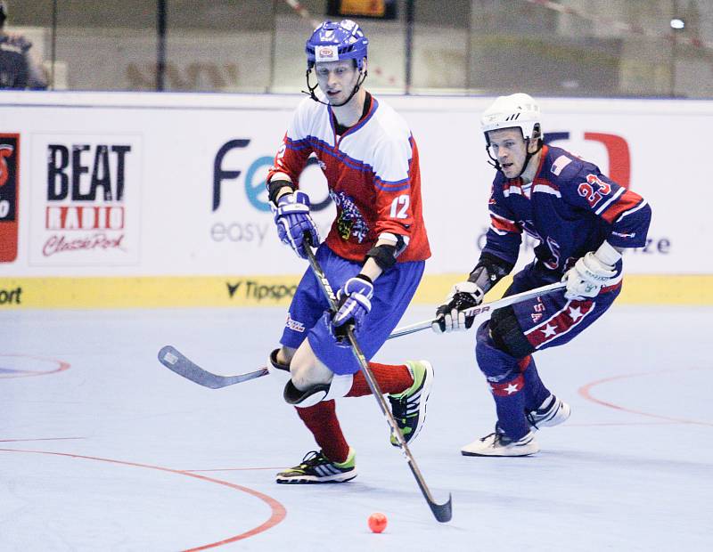 Hokejbalové utkání Mistrovství světa mezi Českou republikou a USA v pardubické Tipsport Aréně.