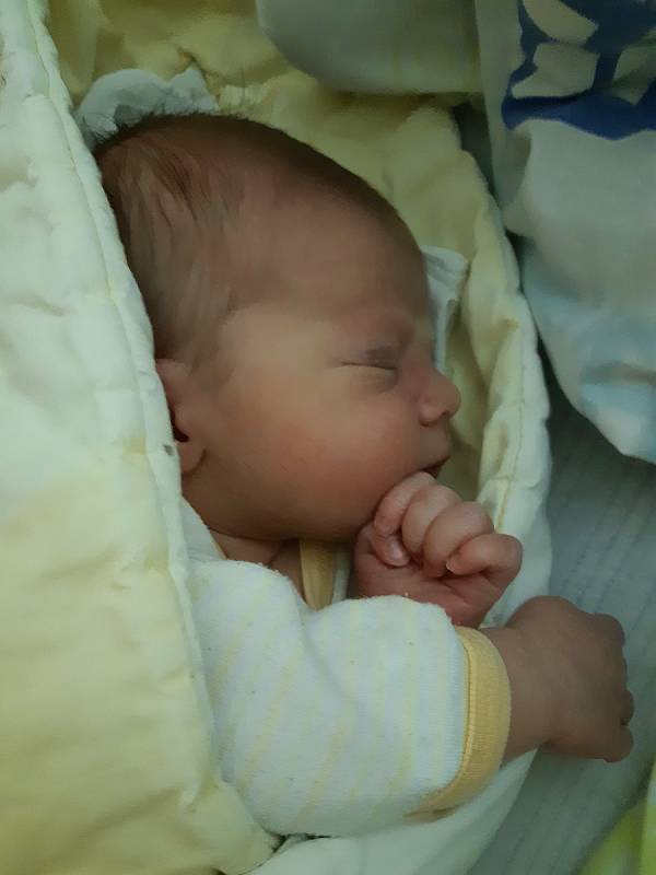 Jonáš Panovský se narodil 23. 2. 2021 v 12:59 hodin. Měřil 50 cm a vážil 3840 g. S maminkou Lucií, tatínkem Zbyňkem a čtyřletou sestřičkou Adélkou bude bydlet v Sezemicích.
