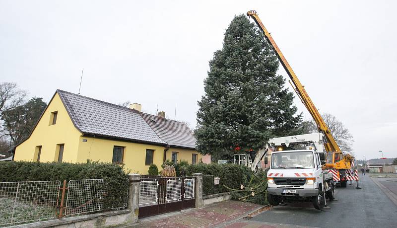 Pardubice už mají svůj vánoční strom na Pernštýnském náměstí.