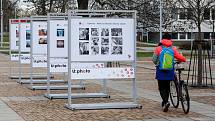 Výstava fotografií studentů Univerzity Pardubice nazvaná Naše univerzita vašima očima před Dopravní fakultou Jana Pernera.