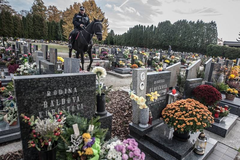 Strážníci městské policie Pardubice hlídkují na hřbitovech také v sedlech starokladrubských vraníků.