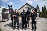 Městská policie Pardubice se rozloučila s Edou a Otou. Služební koně odjeli na důchod.