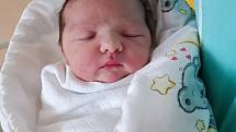 Sofie Elisabet se narodila 25. května 2022 v chrudimské porodnici mamince Jitce Balog a tatínkovi Tiboru Balogovi. Doma na sestřičku čekají sourozenci Leoš (15 let), Leon a Gabriel (7 let), Anita (5 let) a Helena (4 roky). Foto: rodina