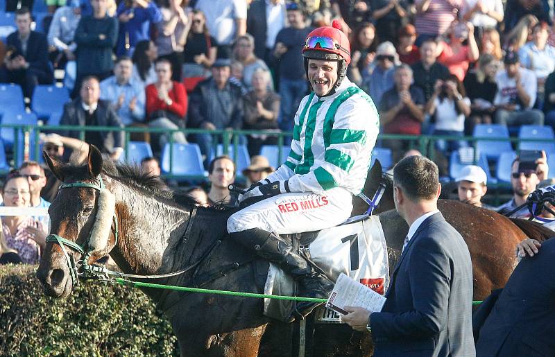 Vítězem 129. Velké pardubické se Slavia pojišťovnou na pardubickém dostihovém závodišti se stal Theophilos s Josefem Bartošem.