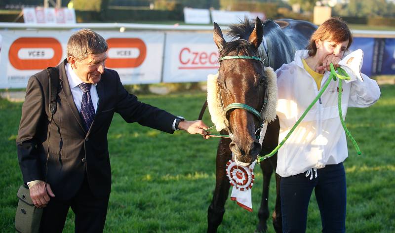 Vítězem 129. Velké pardubické se Slavia pojišťovnou na pardubickém dostihovém závodišti se stal Theophilos s Josefem Bartošem.