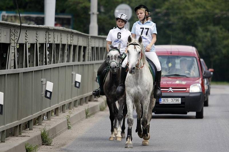 Pardubice  pořádaly poprvé mistrovství republiky ve vytrvalostním ježdění. 