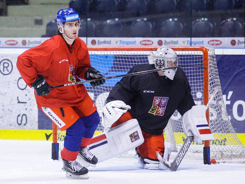 Trénink České hokejové reprezentace před Carlson hockey games v pardubické Tipsport areně.