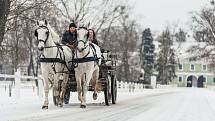 Kladruby nad Labem jsou známé především díky hřebčínu, na starokladrubské bělouše se jezdí dívat tisíce turistů ročně.