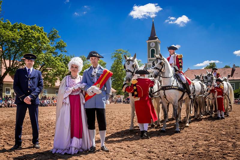 Den starokladrubského koně v Národním hřebčíně Kladruby