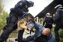 Mezinárodní cvičení pořádkových jednotek v Pardubicích. Svoji porci zábavy si užili také figuranti i policejní psi.