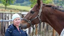 Trenérka vítěze Velké Pardubické Hana Kabelková