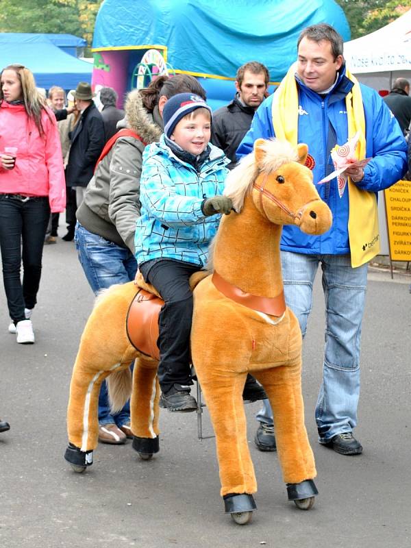 Velká pardubická je velkou sportovní i společenskou událostí.