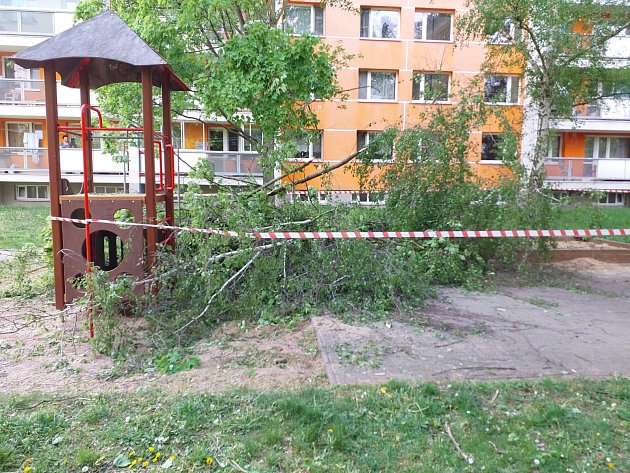 Strom spadl na hřiště v Polabinách. Větve zasáhly ženu, děti stihly utéct