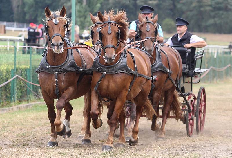 20. ročník mezinárodní výstavy Koně v akci na pardubickém dostihovém závodišti.