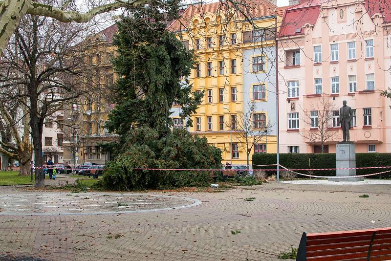 Vítr srazil strom na náměstí Legií v Pardubicích.