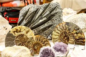 Mezinárodní výstava minerálů se koná v sobotu v pardubickém Ideonu.