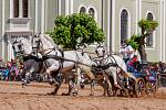Den starokladrubského koně 2023 se koná v sobotu 27. května.