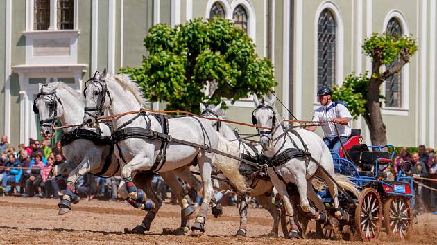 Den starokladrubského koně 2023 se koná v sobotu 27. května.