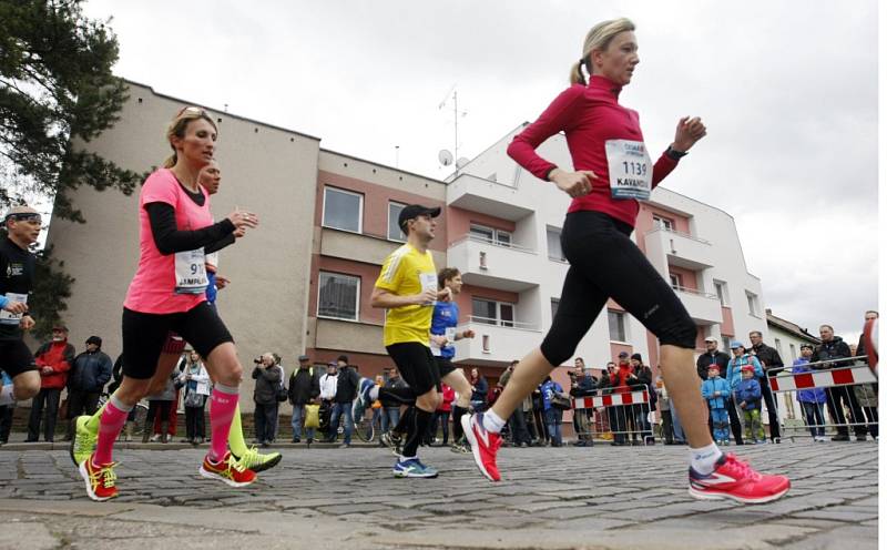 Pardubický vinařský půlmaraton 2015