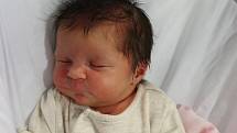 TEREZA PETRÁSKOVÁ se narodila 14. září ve 4.37 hodin. Měřila 46 cm a vážila 2860 g. Velmi potěšila své rodiče Veroniku a Pavla Petráškovy z Valů u Přelouče. Doma se těší sestřičky desetiletá Natálie a pětiletá Nela.