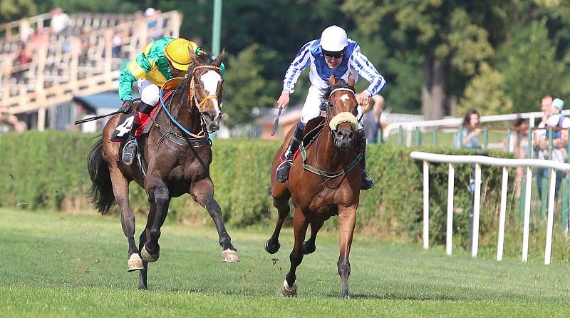 Druhou kvalifikaci na 129. Velkou pardubickou steeplechase vyhrál v dramatickém finiši Ange Guardian v sedle s žokejem Marcelem Novákem ( ve žlutozeleném)