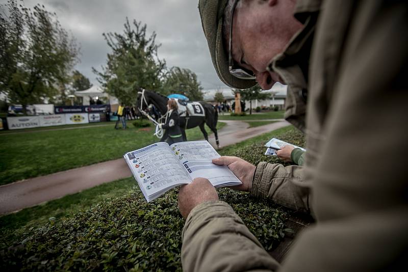 Velká pardubická je sportovní událostí i společenským svátkem.