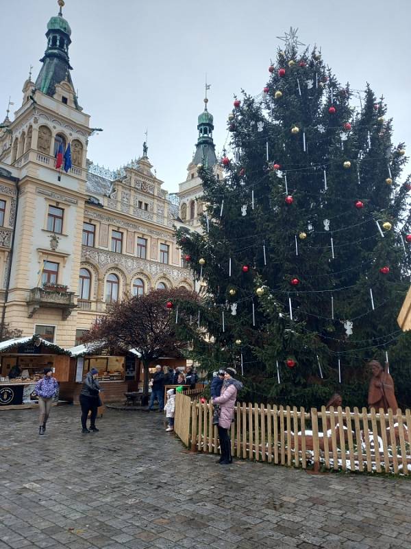 Trhy na Pernštýnském náměstí.