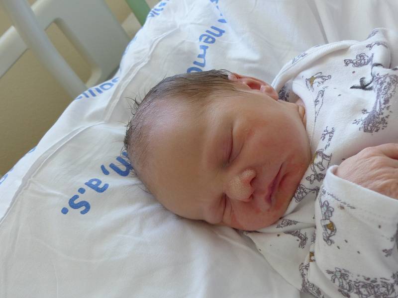 Dominik Grande se narodil 20. července 2022 v kolínské porodnici, vážil 3245 g a měřil 49 cm. Do Chvaletic si ho odvezl bráška Adámek (5) a rodiče Pavla a Radek.