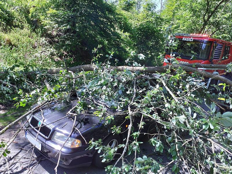 Hasiči likvidovali následky pondělní bouře