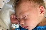Jonáš Urban se narodil 1. června. Vážil 3190 g a měřil 48 cm. S maminkou Romanou, tatínkem Jiřím a sourozenci Nikolkou (7 let) a Vítkem (5 let) bude doma v Chrudimi.