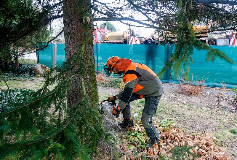 Do Pardubic doputoval letošní vánoční stromeček. Tentokrát dorazil z Dašic