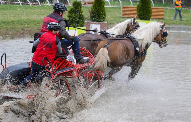 První letošní závody mají vozatajové za sebou.