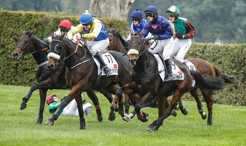 Hegnus s Lukášem Matuským zvítězili ve 130. Velké pardubické se Slavia pojišťovnou, která se konala před prázdnými tribunami na pardubickém dostihovém závodišti.