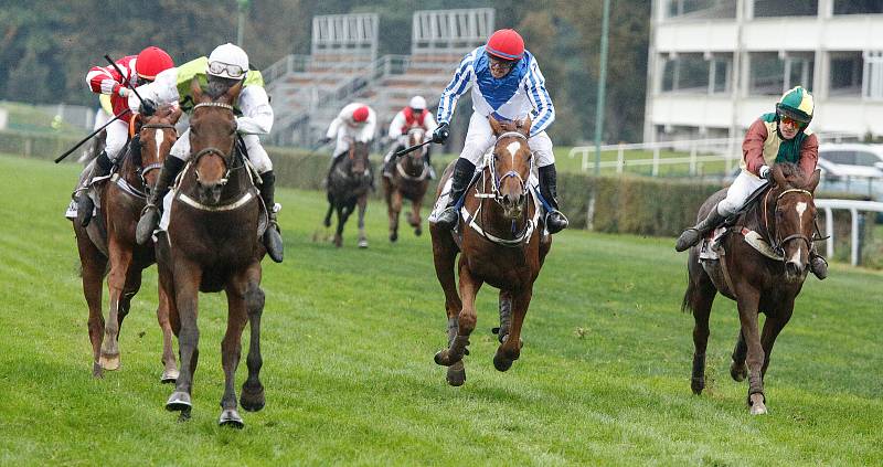 Hegnus s Lukášem Matuským zvítězili ve130. Velké pardubické se Slavia pojišťovnou, která se koná před prázdnými tribunami na pardubickém dostihovém závodišti.