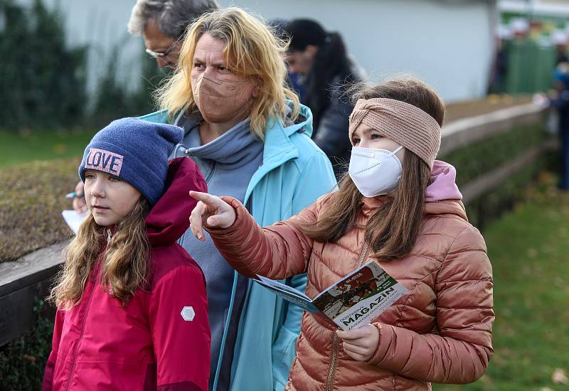 Závěrečný dostihový den na pardubickém dostihovém závodišti.